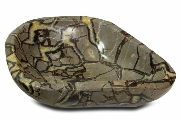 Large, Polished Septarian Bowl - Madagascar #339302